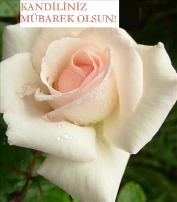 Hepimizin Berat KandiLi Mübarek OLsun...