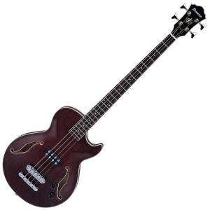 bass guitar
