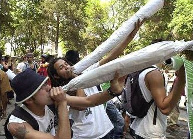 joint