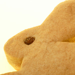 Bunny Cookie
