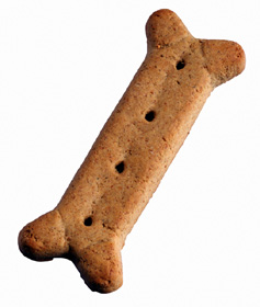 Dog Cookie