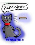 pancake cat