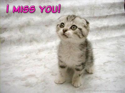 missing you 