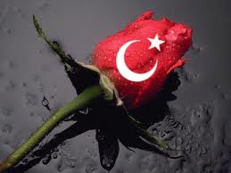 En güzel gül....