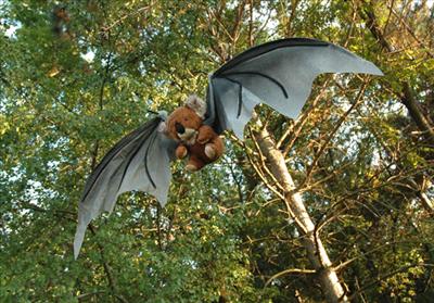 Flying Raskolnikov
