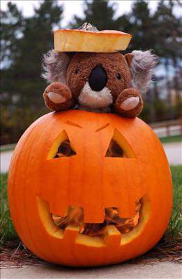 Pumpkin Raskolnikov
