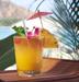 COCKTAILS AT NOON 