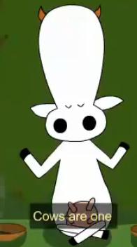 milk & tofu