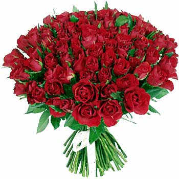 Rosas