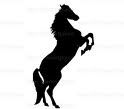 25% Discount On Stud Breeding