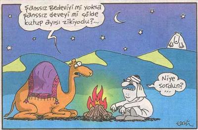 Şasnssız sın Dostum