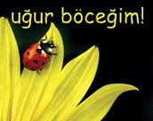 ŞANSLI