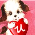 Cute Puppy