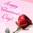 Single Rose