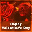 Dark Red Roses