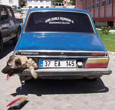 havalı