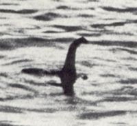  nessie