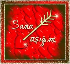 Deli Gibi Seviyor :)