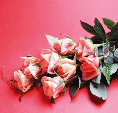 flores