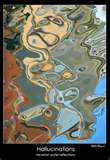 Melting trip