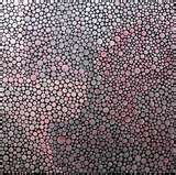 Bubble trip