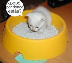 tarado weon
