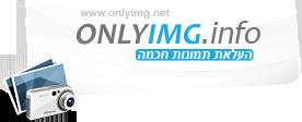 זכית או הפסדת? 