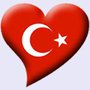  Türk Bayrağı