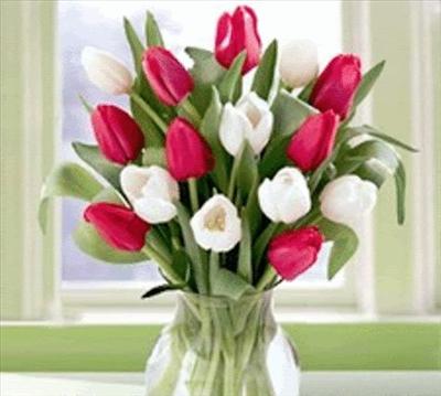  bulaklak
