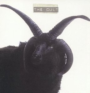 The Cult
