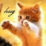 Huggs