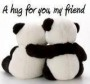 A Hug Worth A Thousand Words..