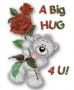 Long Distance Hug !!