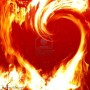 Warm Heart