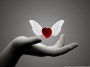 For You
