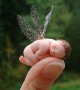 Abbracci