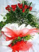 rosas rojas