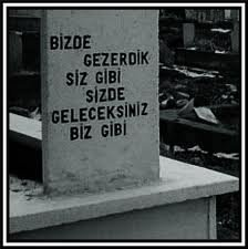 SeVMiYoR