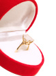 If I Had Lots Of Money i would buy you a RING...