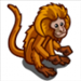Crazy monkey