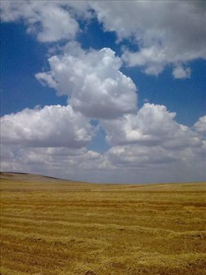 Şanslı