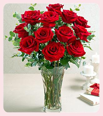 rose in a vase