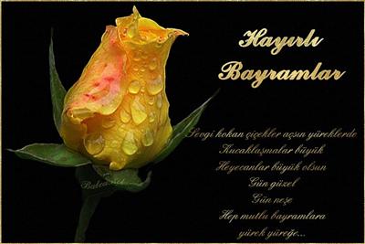 Bayram...