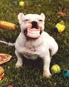 happy as can be