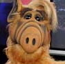 Alf