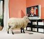 Erkeğinize mükellef bir masa kurup onun  karnını doyurarak. 