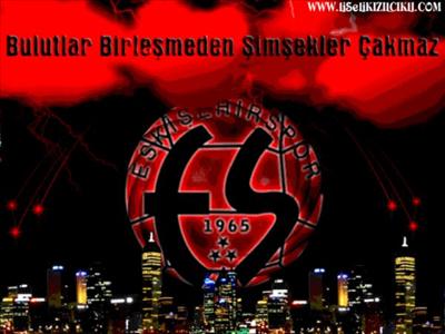 Eskişehir spor