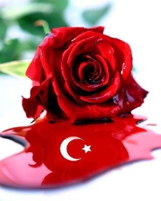 DJ REMİX