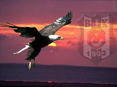 Beşiktaş