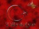 Türkler tabi ki daha fazla